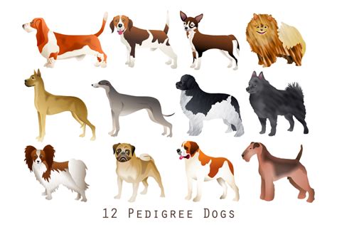 Pedigree Dog Breeds Animal Clipart Set By Prawny | TheHungryJPEG