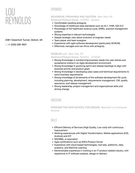 Technical Product Owner Resume Samples Velvet Jobs