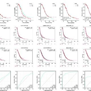 The Expression And Prognostic Value Of Top 5 Genes Of Promoting