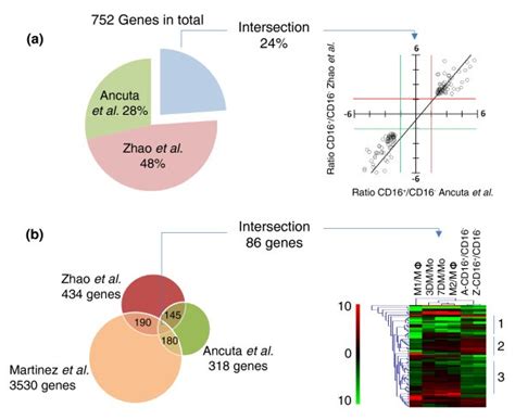 The Transcriptome Of Human Monocyte Subsets Begins To Emerge Journal