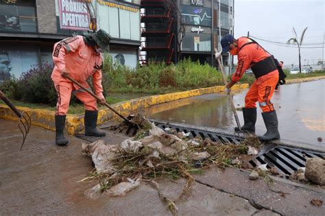 Retiran Cerca De 200 Toneladas De Basura El Reportero