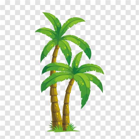 Coconut Tree Vector Arecaceae Tree Clip Art Coconut Tree Vector Png