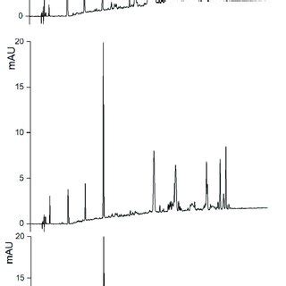 Example Comparison Among Hplc Uv Nm Chromatograms Of Three Evoo