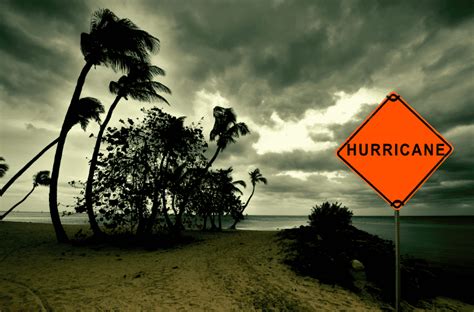 Hurricane Season Survival Guide Essential Steps To Prepare For