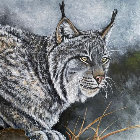 Original Lynx Painting Canadian Lynx Art Animal Art | Etsy