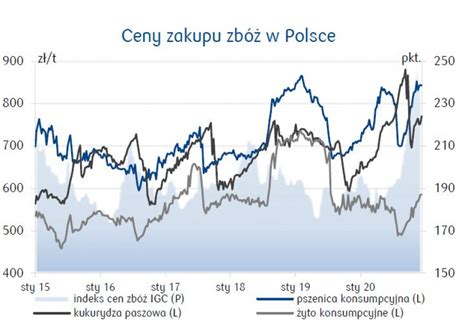 Prognozy Cena Pszenicy W R Mo E Zwi Kszy Si O Proc R R