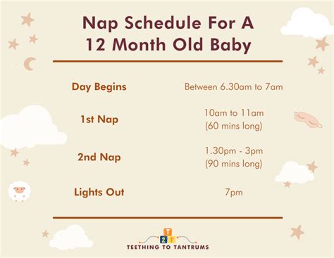 12 Month Old Sleep Schedule Your Invaluable Guide To Zzz