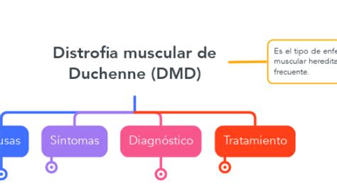 Distrofia Muscular De Duchenne DMD MindMeister Mapa Mental