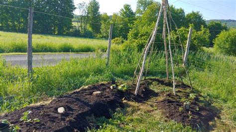 Diy Homestead Projects For Your To Do List Diy Danielle®