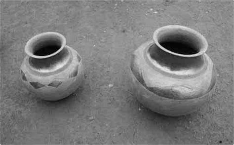 examples  chipfuko left  pfuko  vessels   ana
