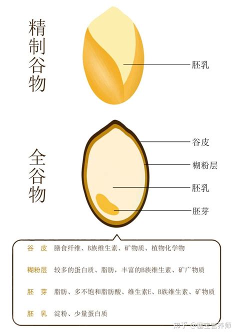 全谷物的代表「燕麦」，必须推荐给你 知乎