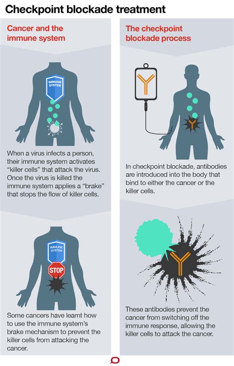 Cancer immunotherapy drugs like Keytruda and Opdivo hold hope for some, but there’s still a way ...