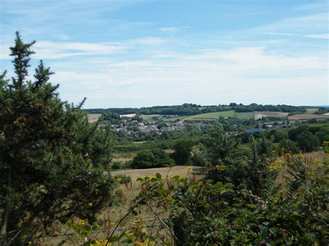 Dorset Group 23 Jul 20 The Heaths And Woods Of Bere Regis Gay Outdoor Club