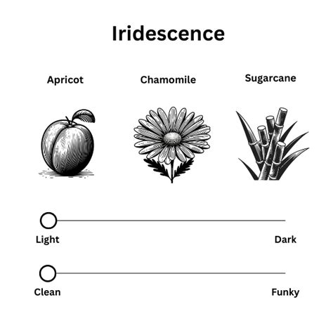 Bean Coffee Lab Savage Coffees Iridescence Cm Geisha