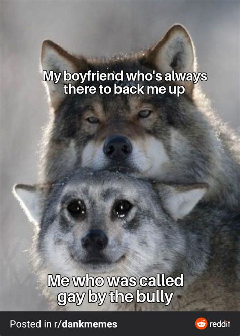 Wolf and crying wolf : r/MemeTemplatesOfficial