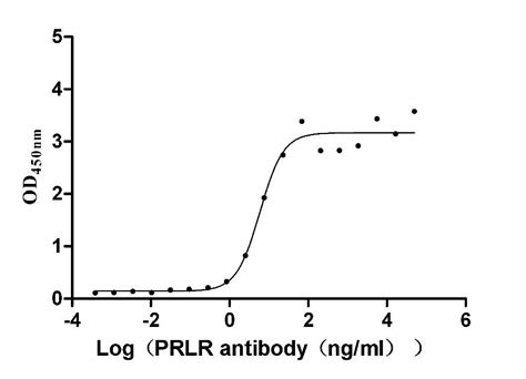 Anti Homo Sapiens Human Prlr Recombinant Monoclonal Antibody Cusabio