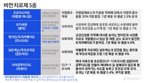 비만 치료의 네 가지 방법 모던블로그