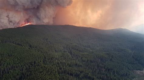 Canada S British Columbia Wildfires Prompt State Of Emergency BBC News