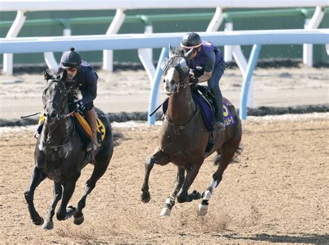 【宝塚記念】ローシャムパークはスムーズな脚さばきで好調アピール 田中博調教師「いいリズムで走れていた」 Umatoku 馬トク