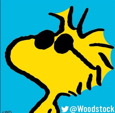 Cool Shades Snoopy Comics Woodstock Woodstock And Snoopy