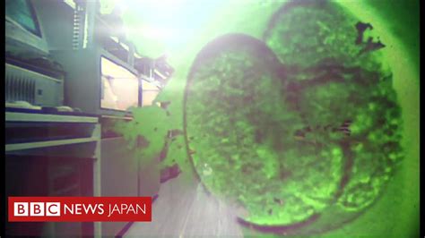 人の遺伝子編集とは？ 英政府機関で開始 Bbcニュース