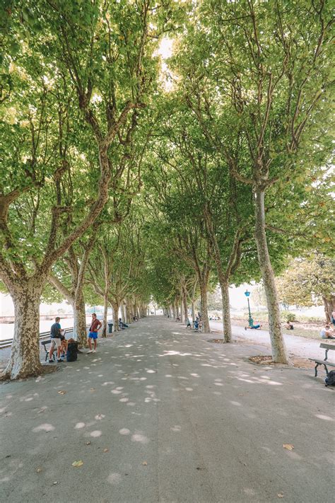 The Absolutely Beautiful City Of Montpellier In The South Of France