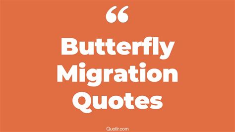 2 Eye Opening Butterfly Migration Quotes That Will Inspire Your Inner Self