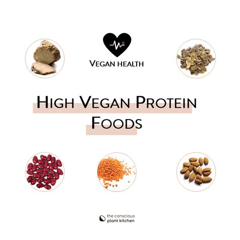 Best Vegan Protein Sources - The Conscious Plant Kitchen