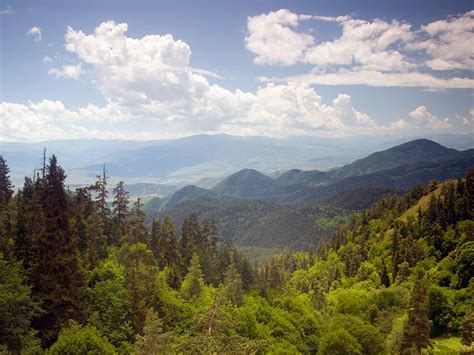 Borjomi