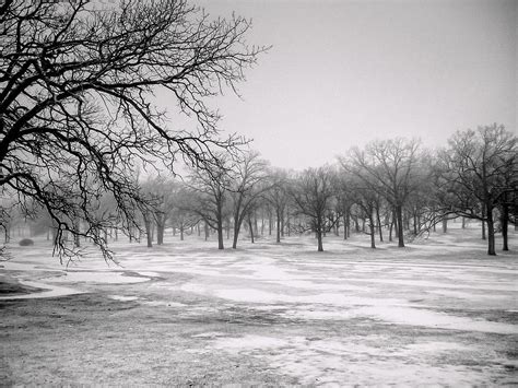Desolate Winter 4 Photograph by Marc Miller