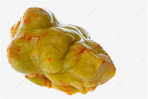 Salted Mustard Root Isolated Mustard Delicious Roots Eat Png
