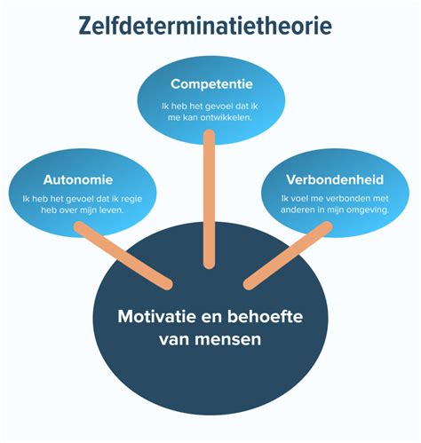 Zelfdeterminatietheorie FIT Nl