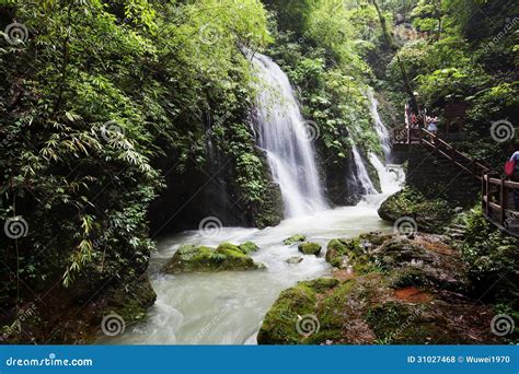 Ravine Stream In The Black Mountain Valley Stock Photo Image Of Pond