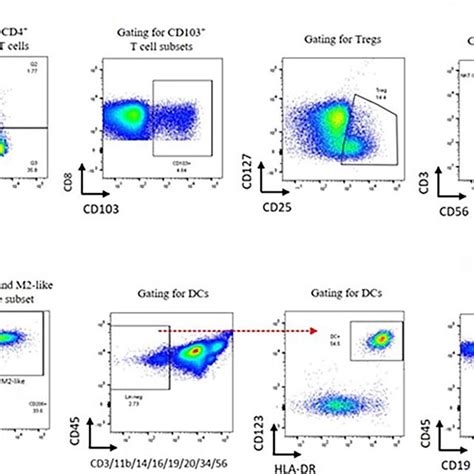 Gating Strategy For Immune Cells In Ascites A Cd3 T Cells Were