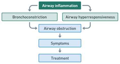 Asthma Pathophysiology Triggers Symptoms Diagnosis And Management