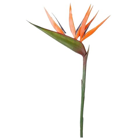 Kunstbloem Strelitzia 90 Cm Losse Tak Kunst Zijdebloem