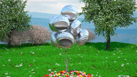 Globos De Aluminio Para Decoraci N De Fiestas Modelo D Max Ds