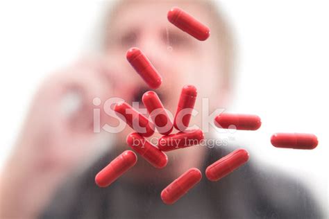 swallow stock photo royalty  freeimages