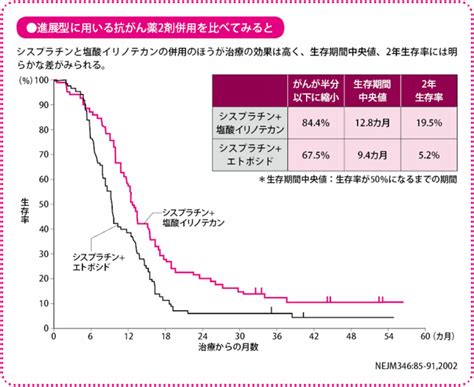 小細胞肺がんの治療、限局型の治療の進め方は？進展型の治療の進め方は？ がんプラス