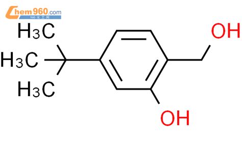 174822 06 1 Benzenemethanol 4 1 1 dimethylethyl 2 hydroxy CAS号