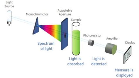 Schematic Diagram Of Spectrophotometer Download Scientific Diagram