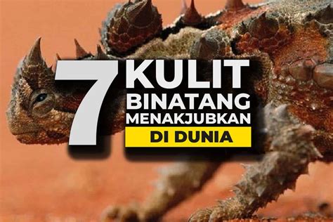 Kulit Binatang Paling Menakjubkan Di Dunia