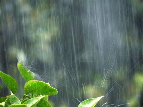 雨が降っていてもお墓参りをしていいの？雨の日のお墓参りの注意点。 未熟僧（みじゅくそう）ブログ