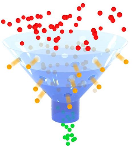 filter ppmexecutioncom