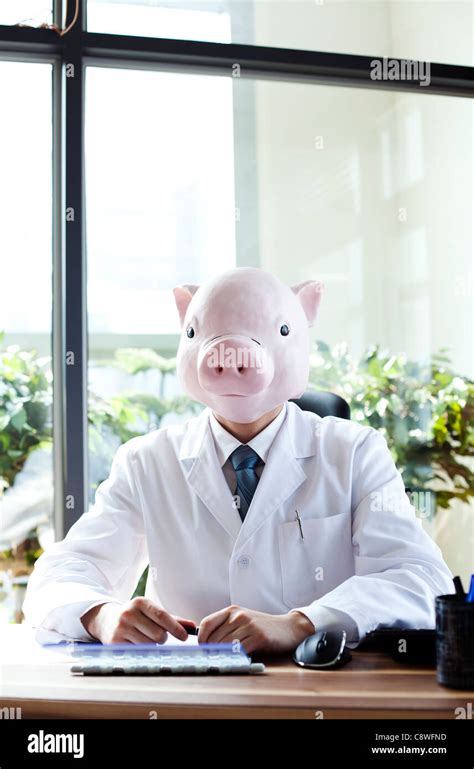 Pig Head Nutritionist On Desk Stock Photo Alamy