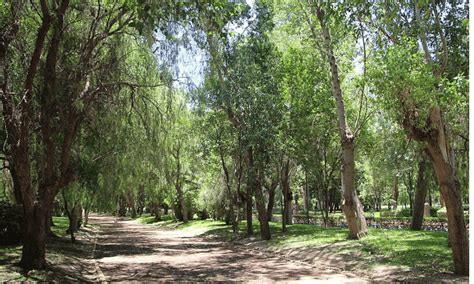 Explorando La Naturaleza Y La Recreaci N Parque Tangamanga Mexico Real