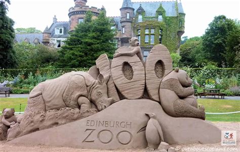 Edinburgh Zoo Visitor Guide | Edinburgh