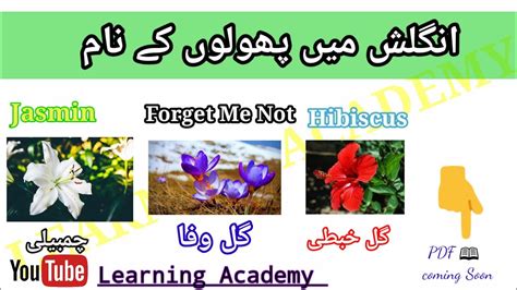 Flower Pictures With Names In Urdu Best Flower Site