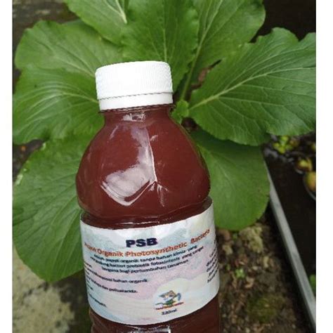 Jual Pupuk Daun Organik PSB Photosynthetic Bacteria Shopee Indonesia