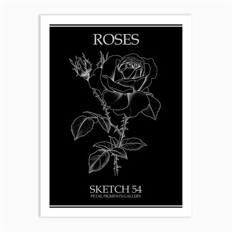 Roses Sketch 54 Poster Inverted Art Print By Petal Pigments Fy